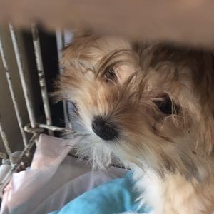 Meet your Posher, Maricela